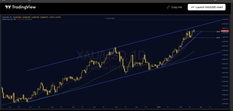 1740375806920270.png Screenshot 2025-02-24 at 7.39.23 AM.png